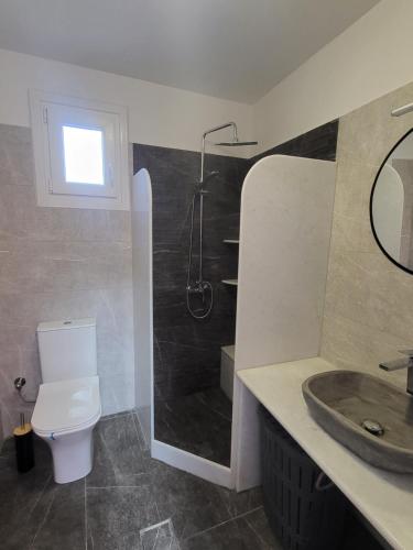 a bathroom with a shower and a toilet and a sink at Evangelia's Cozy House in Ermoupoli