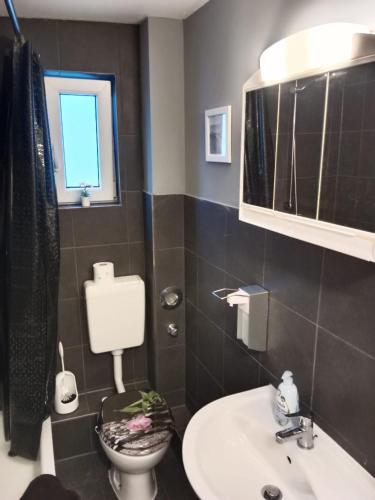 een badkamer met een toilet en een wastafel bij Stadtnah an der Förde 7 HH L 1OG in Flensburg