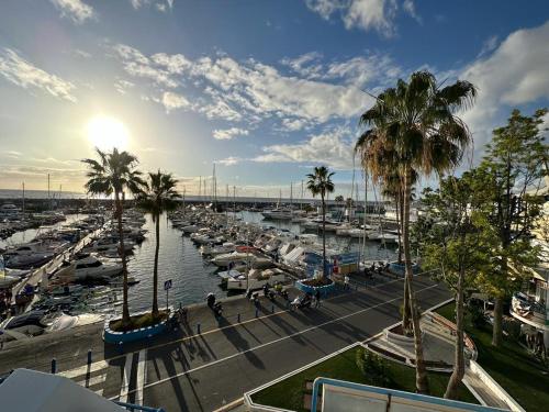 a marina with boats in the water and palm trees at Adeje Luxury Apartment in the south of Tenerife in Adeje