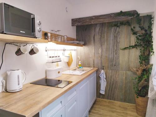 a kitchen with a counter with a sink and a microwave at Strażacka 2 in Karpacz