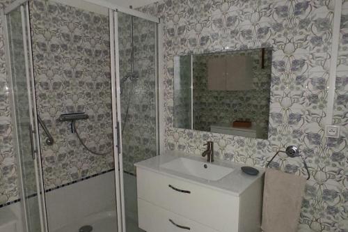 a bathroom with a shower and a sink and a mirror at maison de ville pour 6 personnes in Montdidier