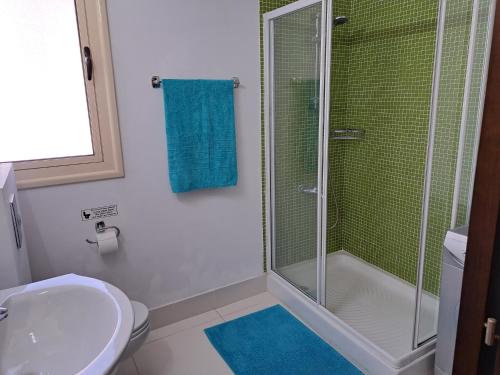 a bathroom with a shower and a toilet and a sink at Villa Sunshine in Mazotos