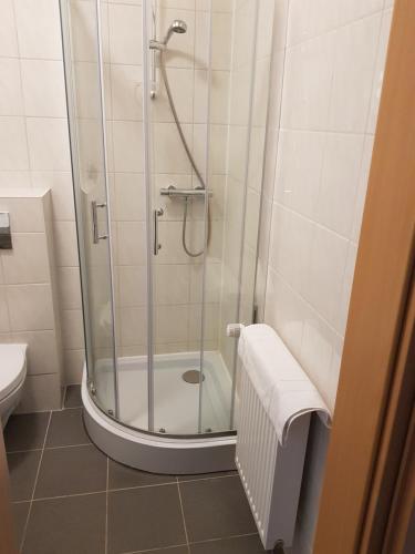 um chuveiro com uma porta de vidro na casa de banho em Hotel zur Altstadt em Calbe