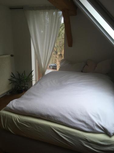 Ένα ή περισσότερα κρεβάτια σε δωμάτιο στο Wunderschönes Bauernhaus an der Elbe