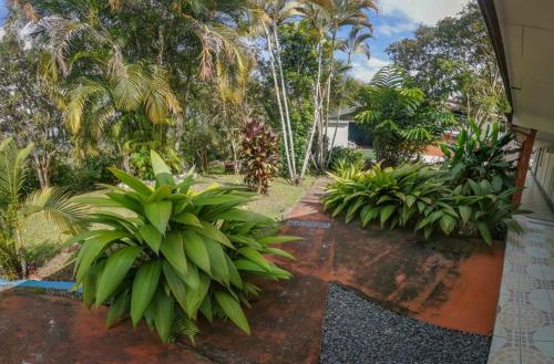 a view of a garden with palm trees and plants at Hotel Geliwa in Turrialba