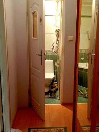 La salle de bains est pourvue de toilettes et d'une personne dans un miroir. dans l'établissement Bogatynia baza wypadowa Turów, à Bogatynia