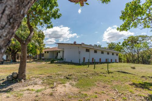 a white building with a tree in the foreground at Hotel El Cocobolo Food&Rest Room 3 B&B WiFi AC Pkg Free Swimmingpool in Liberia
