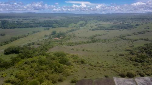 an aerial view of a field with trees at Hotel El Cocobolo Food&Rest Room 3 B&B WiFi AC Pkg Free Swimmingpool in Liberia