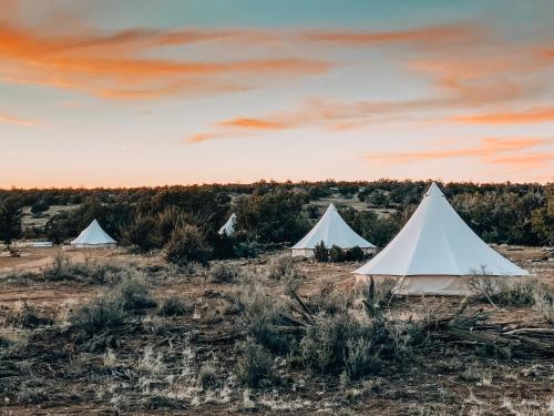 a group of white tents in a field with a sunset at Wander Camp Grand Canyon in Valle