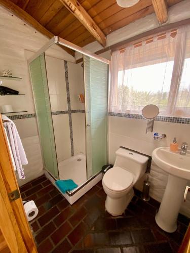 a bathroom with a toilet and a shower and a sink at Casa Magnolia in Cumbayá