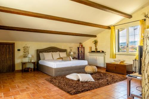 a bedroom with a large bed and a television at Villa TreA in Mascali