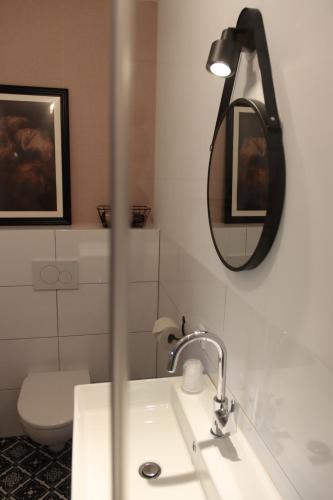 a bathroom with a sink and a mirror and a toilet at Porcus Campus in Aarle-Rixtel