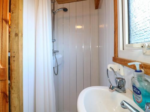 uma casa de banho com um lavatório e um chuveiro em Packhorse Shepherds Hut em Belper