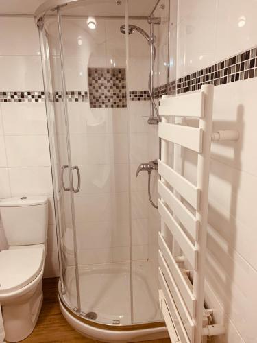 une salle de bain avec douche et toilettes dans l'établissement Au coeur de Beynac, maison authentique avec vue magique sur la rivière, à Beynac-et-Cazenac