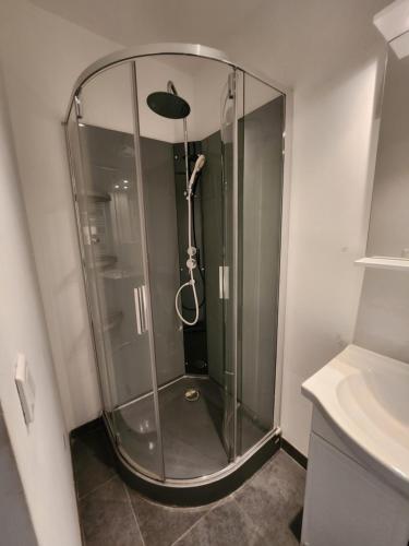 La salle de bains est pourvue d'une douche avec une porte en verre. dans l'établissement Le 29, à Épernay