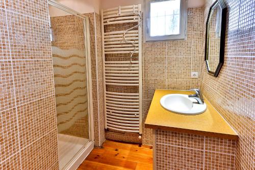 une salle de bain avec un lavabo et une douche dans l'établissement Les Gîtes du Mas Canillac, à Châteaurenard