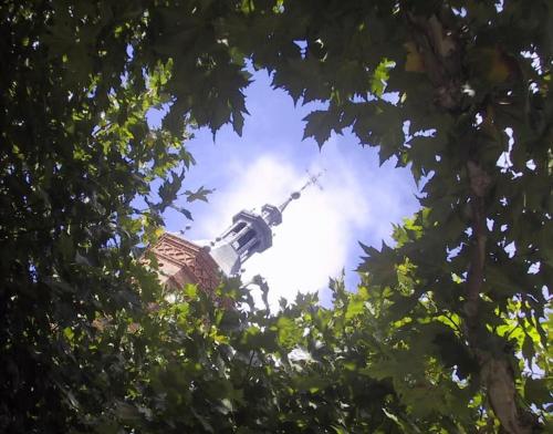 a view of a tower through the leaves of trees at Pensión Úbeda in Fuenmayor