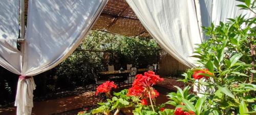 Un jardín fuera de Dar Tadout