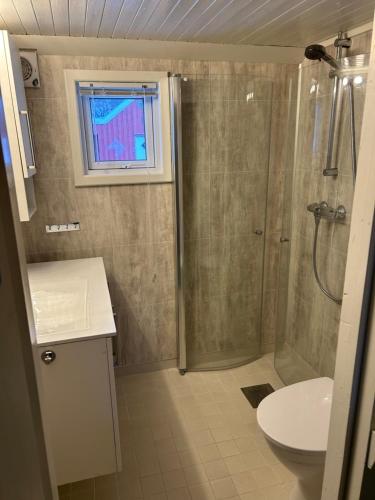 a bathroom with a shower and a sink and a toilet at Lofotbua in Offersøya