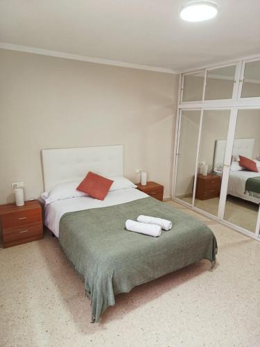 格拉納達的住宿－PISO EL SERRALLO，一间卧室配有一张床,上面有两条毛巾
