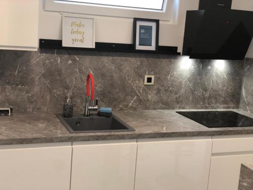 a kitchen sink with a red faucet at Apartman FILIPA in Jezera