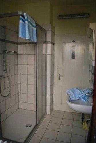 a bathroom with a shower and a toilet and a sink at Ferienhaus Kaffenberger in Michelstadt