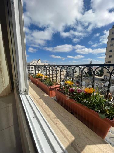 a window sill with flowers on a balcony at Beautifull New 2 Bedroom Apartment in Amman in Amman