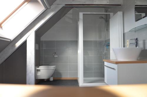 オーステンデにあるHartenhuys Oostendeのバスルーム(トイレ、シャワー、シンク付)