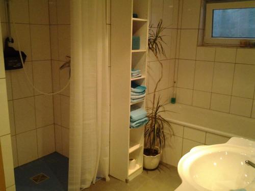 e bagno con doccia, servizi igienici e lavandino. di Ferienwohnung am Wald a Erbach
