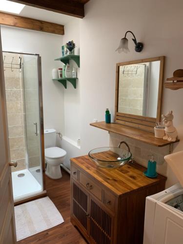 a bathroom with a sink and a mirror and a toilet at BASIA, Lourdes - centre , quartier historique Sanctuaires a 7 min a pied in Lourdes