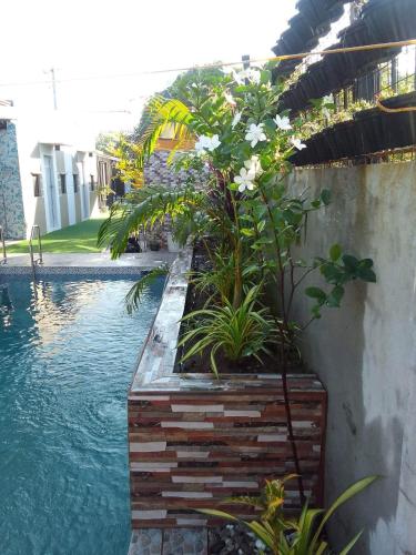 a swimming pool with plants next to a building at SimoyNorte Private Resort Beneg, Botolan, Zambales, Philippines in Zambales