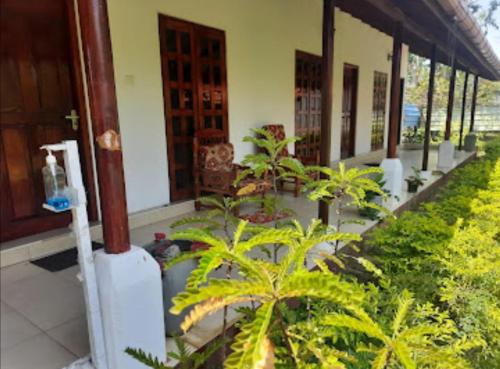 a row of plants in front of a building at Sun & Sand Guest House in Mullaittivu