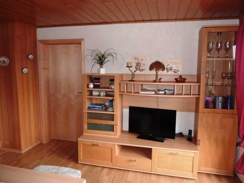 a living room with a entertainment center with a television at Ferienwohnung Kraemer in Erbach in Erbach