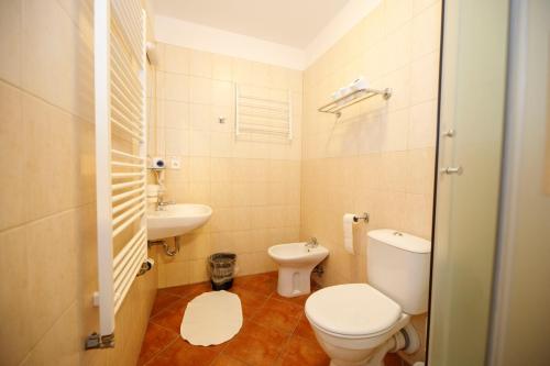 a small bathroom with a toilet and a sink at Svycarska Bouda in Špindlerův Mlýn