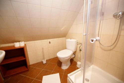 a bathroom with a toilet and a shower at Svycarska Bouda in Špindlerův Mlýn