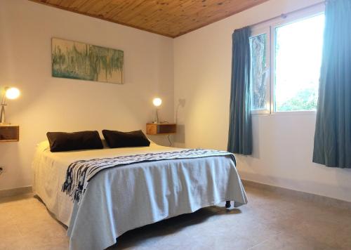 1 dormitorio con 1 cama y una ventana con cortinas azules en Los Guindos en El Calafate