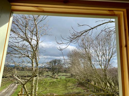 a window with a view of a field and trees at Lowgingerfield Shepherd Hut in Richmond