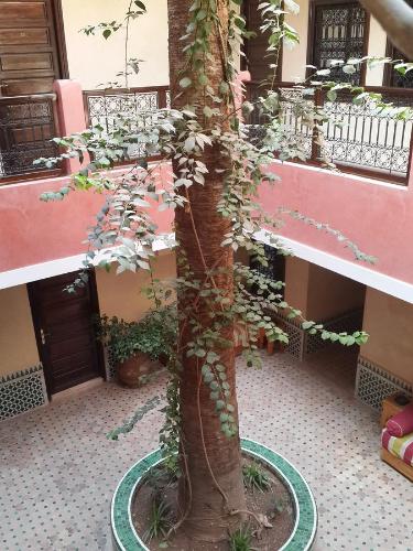 Photo de la galerie de l'établissement Hotel Cecil, à Marrakech