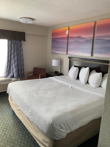 a bedroom with a large bed with two windows at Days Inn by Wyndham Louisville Airport Fair and Expo Center in Louisville