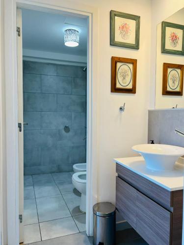 a bathroom with a toilet and a sink and a shower at DEPARTAMENTO DE 1 DORMITORIO CON VISTA A LAS SIERRAS Av Colon 5034 in Cordoba