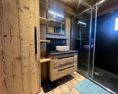 a bathroom with a sink and a shower at Gite Roche Des Ducs avec Piscine toute l'année, Spa, Sauna, Hammam in Rochesson