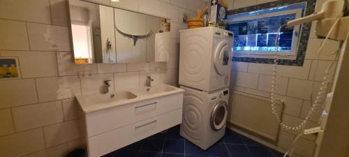 ein Badezimmer mit einer Waschmaschine und einem Waschbecken in der Unterkunft Ferienwohnung mit Sauna am Alpsee in Bühl am Alpsee