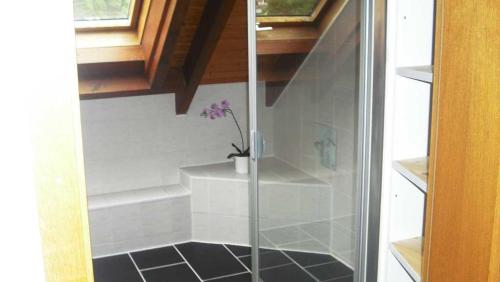 a shower with a glass door with a flower in it at Ferienwohnung Kuhn in Weilbach