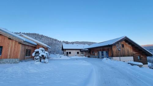 Chalet Terejo & spa durante el invierno