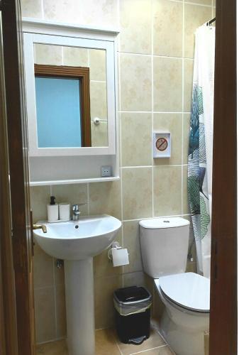 a bathroom with a sink and a toilet and a mirror at Larimar Fuerteventura in Caleta De Fuste