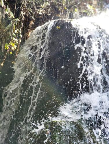 a rock with water coming out of it at אגם בטבע in Hagoshrim