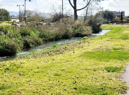 a grassy field with a river in the distance at אגם בטבע in Hagoshrim