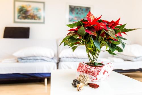 eine Vase mit roten Blumen auf einem Tisch in einem Zimmer in der Unterkunft Apartment Köln Neubrück in Köln