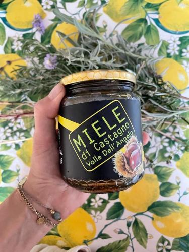 Fotografie z fotogalerie ubytování Azienda Agricola Ausono v destinaci Piaggine