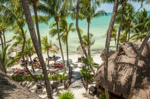 z anteny widok na plażę z palmami w obiekcie Beachfront Hotel La Palapa - Adults Only w mieście Isla Holbox